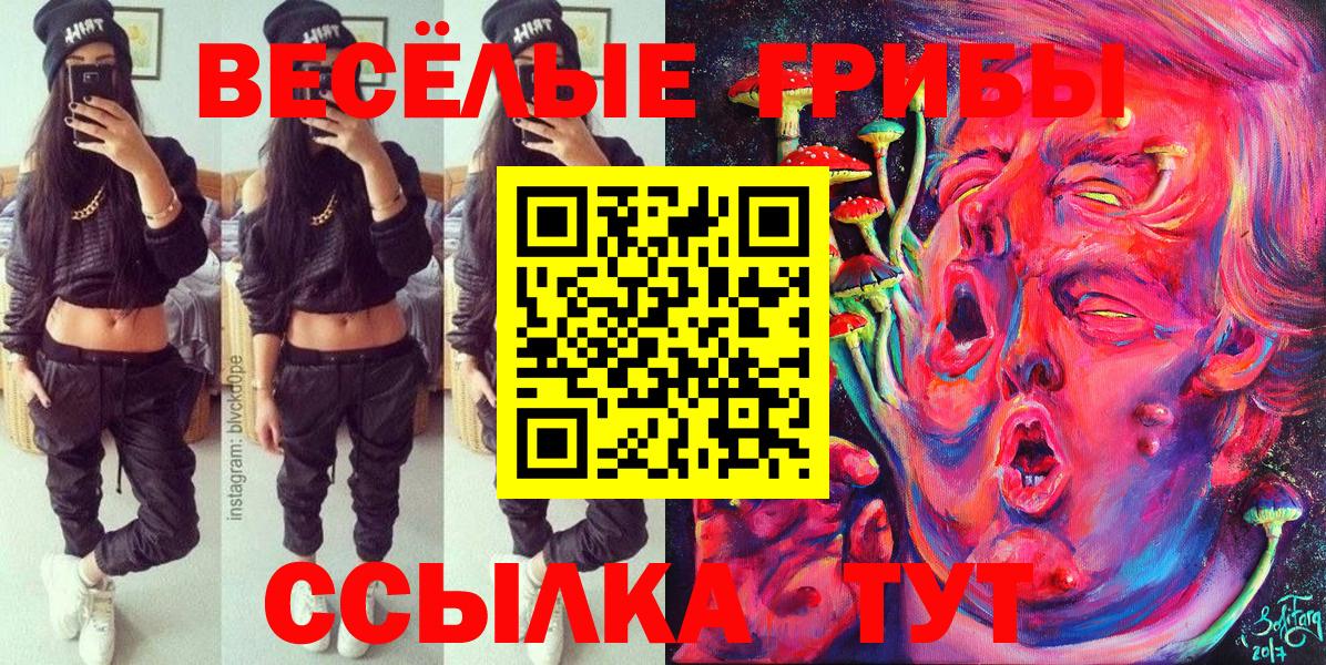 Галлюциногенные грибы прущие грибы  Псилоцибиновые грибы GOLDEN TEACHER  Жуковский  Вход с VPN 